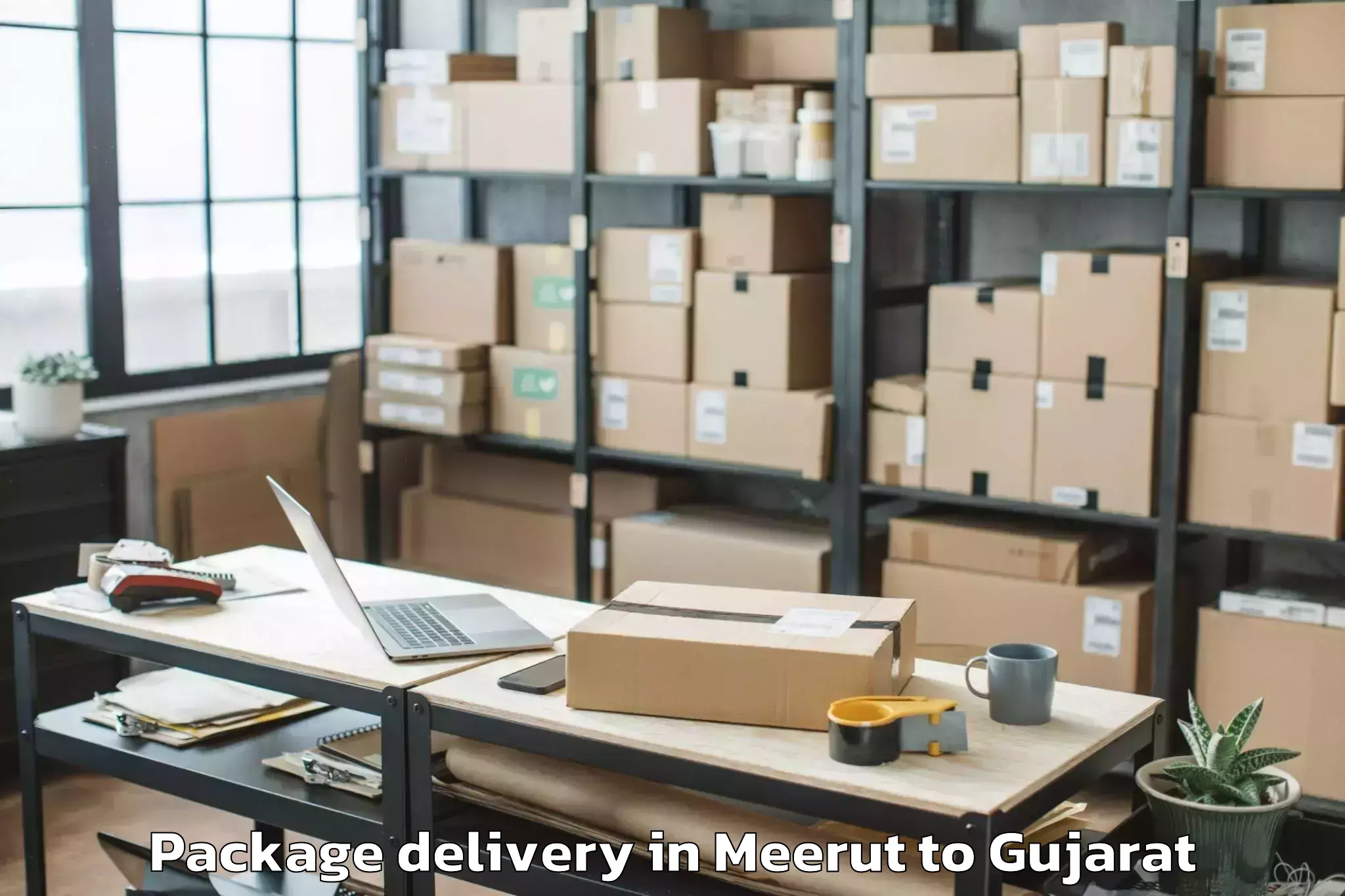 Top Meerut to Hemchandracharya North Gujarat Package Delivery Available